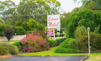 a white sign for the schulyer motel with pink flowers in the foreground , surrounded by lush greenery at Echuca Motel