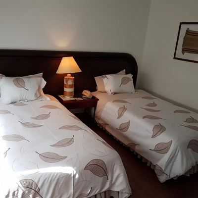 Standard Double Room with Two Single Beds-Non-Smoking