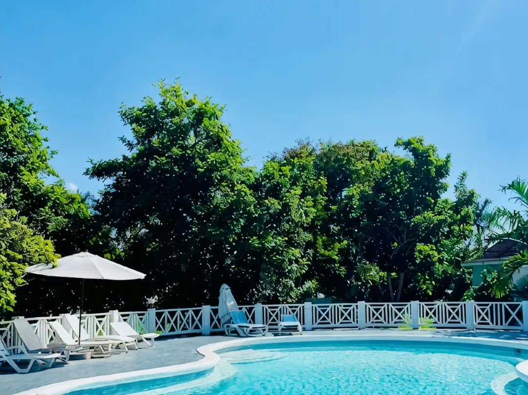 Ocean Rhythms Ii- New, Stylish Oceanfront 888 Studio - Negril