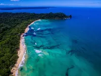 The Sea Monkey Hotels in Bastimento