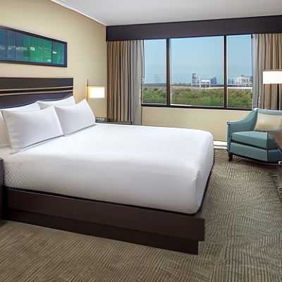 1 King 1 Bedroom Suite-Shwr Only-1.5 Bath Hilton Houston Plaza/Medical Center Promo Code