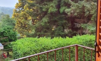 a lush green hedge surrounding a red metal fence , with trees in the background and sunlight filtering through at CasAda