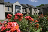 Brennan Court Guest Accommodation Ξενοδοχεία στην πόλη 