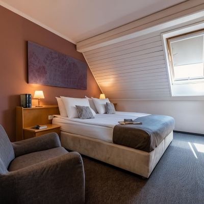 Standard Double Room-Loft Hotel Mrak Promo Code