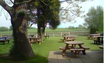 a grassy area with several picnic tables and benches , surrounded by trees and a body of water at The Bear Inn