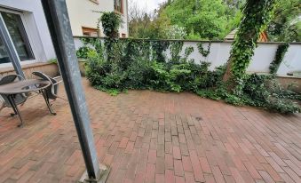 Hotel Jungmann - Housity