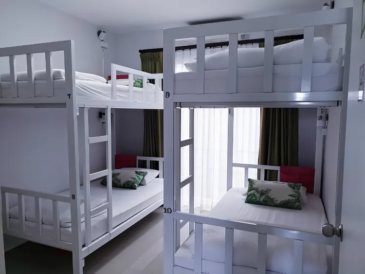 Bed in 4 Bed Dormitory