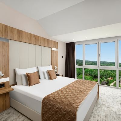 Executive King Suite with Balcony Spa Resort & Hotel Fruske Terme Promo Code