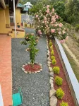 The Victory Villa Hotel a 