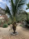 Tropicana Kendwa Beach Hotel Hoteles en 