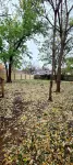 Rogers Retreat, Dog Friendly, Cozy Home. Close to Walmart Amp, Downtown Rogers