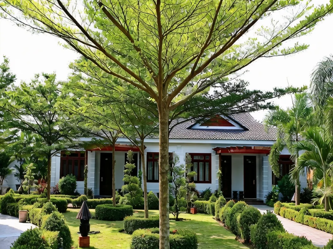 Forever Green Resort - Ben Tre