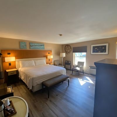 Junior Suite The Retreat on Charleston Peak Promo Code