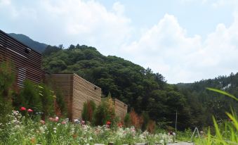 Gapyeong 240st Pool Villa