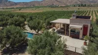 Alma Liebre Viñedos del Valle
