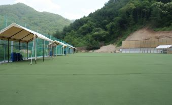 Chuncheon (Namiseom) Won Korea Resort