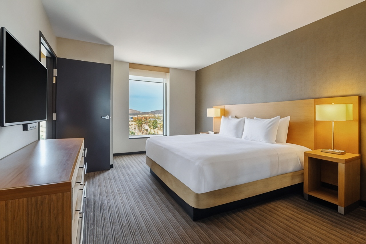 凯悦特大床套房海景 （带梳化床）