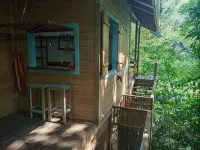 Jungle Paunch Hotels in 
