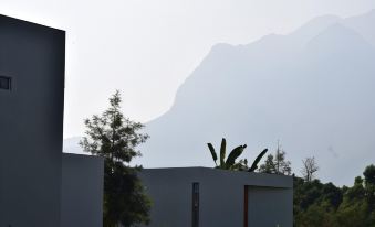 Mist Villa