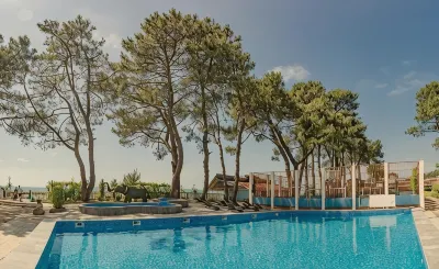 Kolkhida Resort & Spa Hotels in 