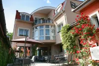 Pensiunea David Hotels in 