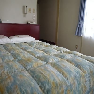 雙人房帶浴室 川崎天空之心飯店優惠