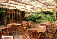 Hotel DEL Bosque Hoteles en 
