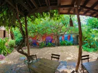 Raízes Eco Hostel Hotels in 