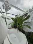 آر ريزيدنت ريزورت