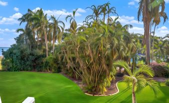 a lush green garden with palm trees and a pool is shown in this image at Mindil Beach Casino Resort