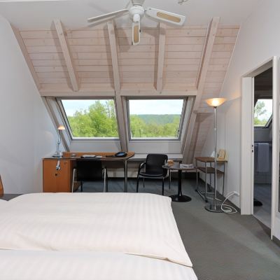 Superior Double Room with Two Single Beds