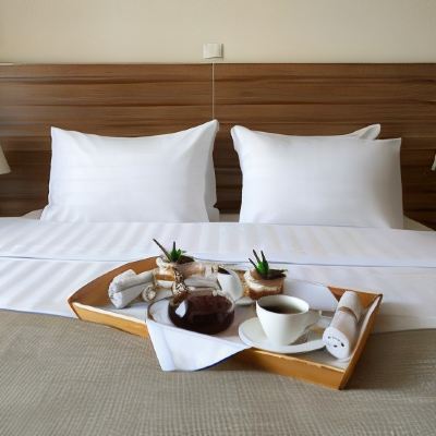 Moscow Suite Izmailovo Delta Hotel Moscow Promo Code