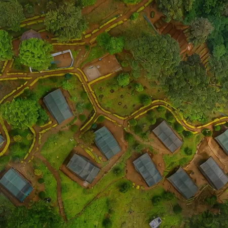 Nature Zone Munnar - A Real Jungle Resort - Authentic Tree House and Premium Tents