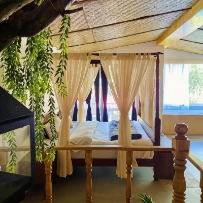 Jaccuzzi Villa With King Bed The Jungle Pool Promo Code