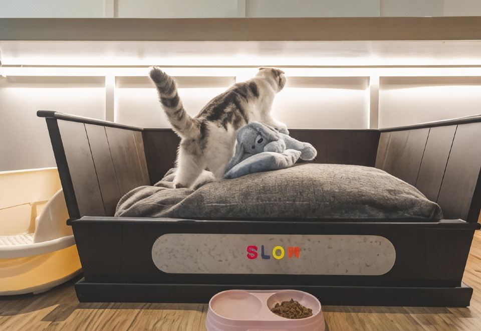 Hyatt Regency Hua HinPet Friendly Deluxe King Room