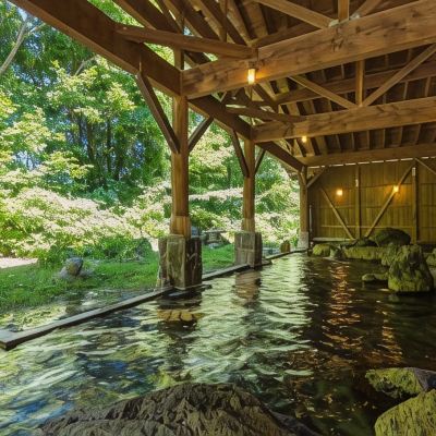 主樓特別室 龜之井飯店田澤湖優惠