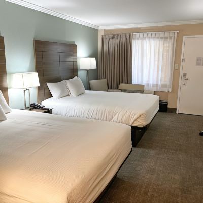 Premium Double Room-Ground Floor