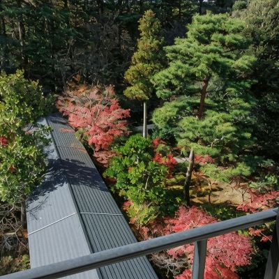 ファミリールーム(専用バスルーム) 金沢・辰口温泉 まつさき クーポン