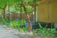 Mango Tree Island 420 Hotels in 