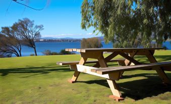 a picnic table is set up on a grassy field near a body of water at Riverfront Motel & Villas
