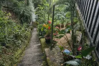 Amado Homestay (Family room)