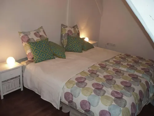 TOURIST RENTAL HISTORIC CENTER COLMAR