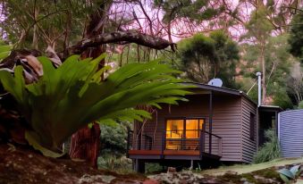 a small wooden house nestled in a lush green forest , surrounded by trees and bushes at Whispering Valley Cottage Retreat