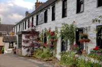 The Winnock Hotel Hotels in 