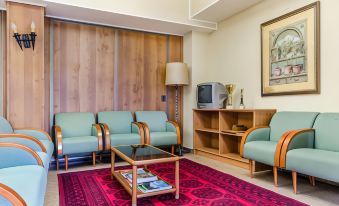 a living room with a red rug , green chairs , and a tv on a wooden shelf at Hotel Mora