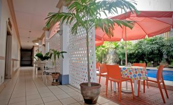 a patio area with a variety of potted plants , umbrellas , and tables under an open - air setting at Hotel Galleria