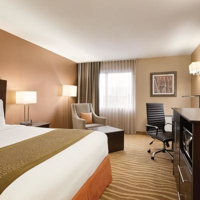 大床房 多倫多萬錦麗柏酒店優惠