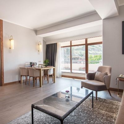 優質套房，1間卧室，禁煙，城市景觀 第比利斯宮殿酒店優惠