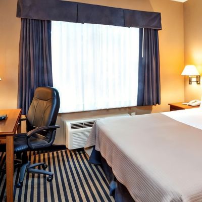 Deluxe Suite, 1 King Bed with Sofa Bed, Non Smoking, Refrigerator & Microwave Mountain Inn & Suites Promo Code