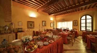 Hotel Bologna Pisa